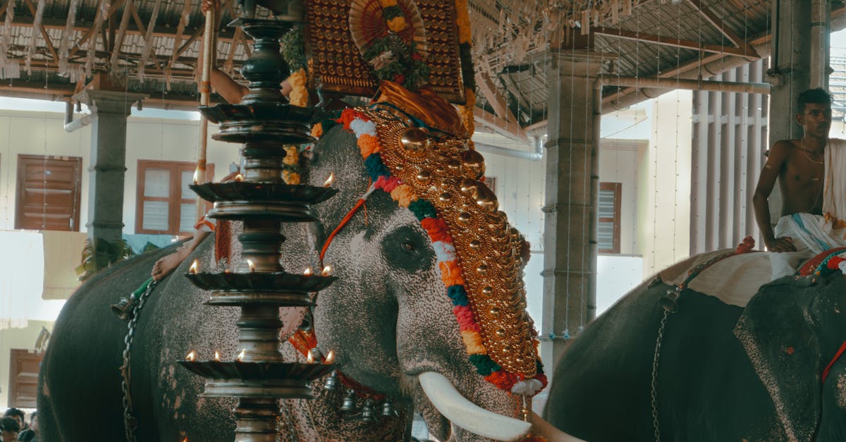 What to Avoid When Designing a Custom Wardrobe